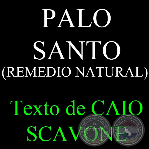 PALO SANTO (REMEDIO NATURAL) - Texto de CAIO SCAVONE