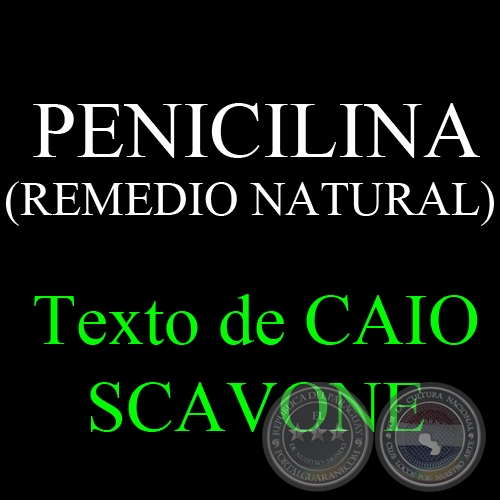 PENICILINA (REMEDIO NATURAL) - Texto de CAIO SCAVONE
