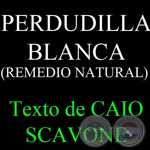 PERDUDILLA BLANCA (REMEDIO NATURAL) - Texto de CAIO SCAVONE