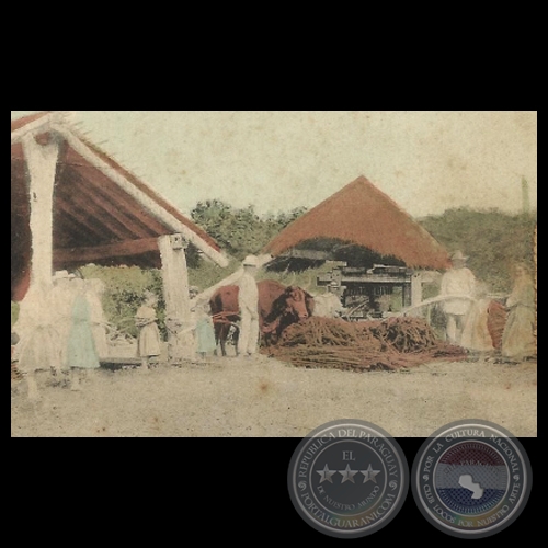TAREA DE CAÑA DULCE - LUQUE - Tarjeta Postal - República del Paraguay