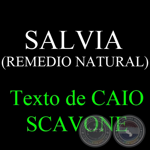 SALVIA (REMEDIO NATURAL) - Texto de CAIO SCAVONE