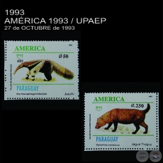 AMÉRICA 1993 / UPAEP