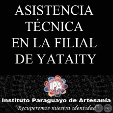 ASISTENCIA TCNICA EN LA FILIAL DE YATAITY