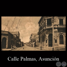 CALLE PALMAS - ASUNCIÓN - Editor: Guillermo de Grüter - TARJETA POSTAL DEL PARAGUAY