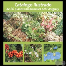 CATALOGO ILUSTRADO DE 80 PLANTAS MEDICINALES DEL PARAGUAY