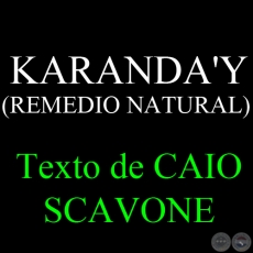 KARANDA'Y ( REMEDIO NATURAL) - Texto de CAIO SCAVONE