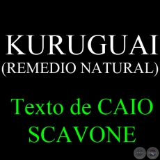 KURUGUAI (REMEDIO NATURAL) - Texto de CAIO SCAVONE