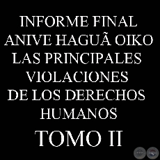 LAS PRINCIPALES VIOLACIONES DE LOS DERECHOS HUMANOS - INFORME FINAL - TOMO 2 - COMISIN DE VERDAD Y JUSTICIA, PARAGUAY