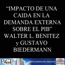 IMPACTO DE UNA CAIDA EN LA DEMANDA EXTERNA SOBRE EL PIB-UNA APLICACION INSUMO-PRODUCTO (WALTER L. BENITEZ y GUSTAVO BIEDERMANN) 