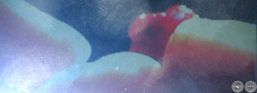 AUTO INTERVIEW, 2004 - OBRA DE ADRIANA GONZÁLEZ BRUN