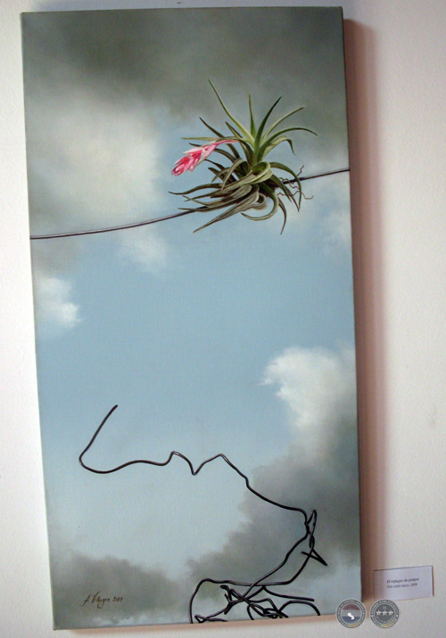 MIRADAS, 2011 – EXPOSICIÓN (ÓLEOS DE ADRIANA VILLAGRA)