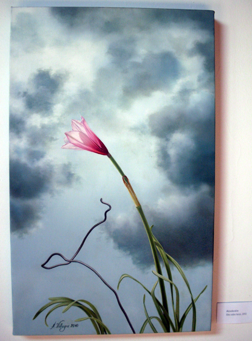MIRADAS, 2011 – EXPOSICIÓN (ÓLEOS DE ADRIANA VILLAGRA)