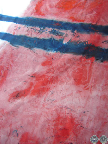 BANDERAS DEL BICENTENARIO, 2011 - OBRAS DE ALICIA VEGA