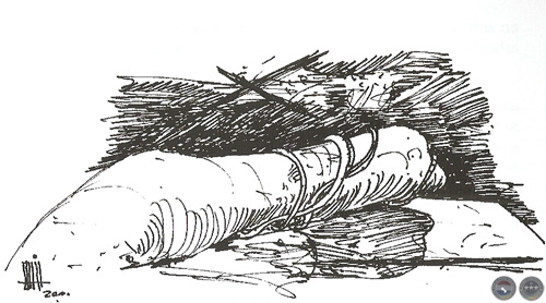 CARLOS COLOMBINO en la GALERÍA DE ARTES del PORTALGUARANI.COM