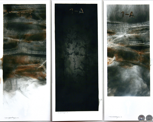 SERIE 1-A, 2009 - OBRAS DANIEL MALLORQUÍN