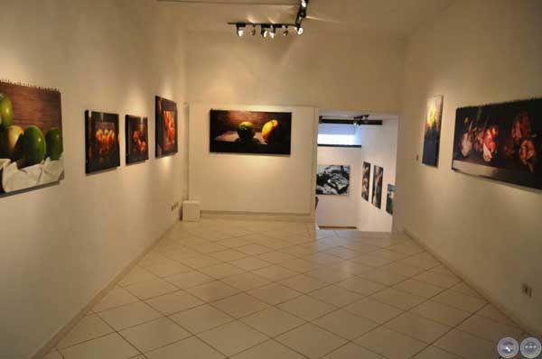 26 Exposicion Obras Recientes Emmanuel Fretes Roy Galeria Fabrica 2013 portalguarani