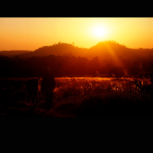 DATOS BIOGRÁFICOS Y OBRAS DE FERNANDO ALLEN en PORTALGUARANI.COM