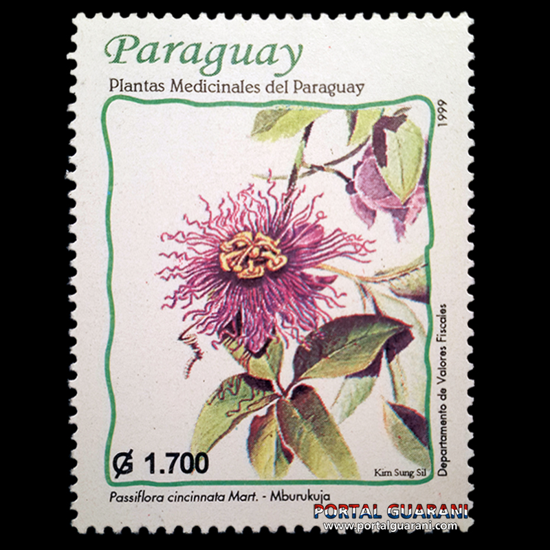 PLANTAS MEDICINALES DEL PARAGUAY