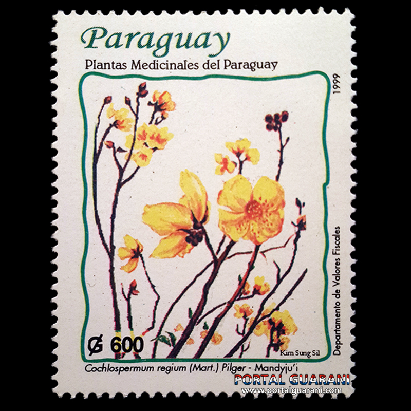 PLANTAS MEDICINALES DEL PARAGUAY