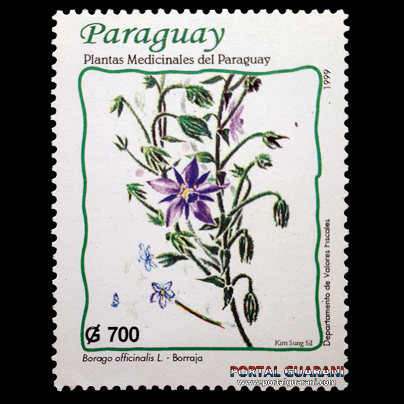 PLANTAS MEDICINALES DEL PARAGUAY