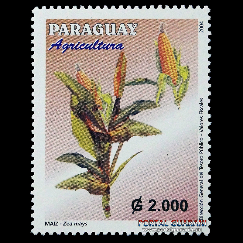 AGRICULTURA: MAÍZ, ALGODÓN, SOJA - (AÑO 2004 - SERIE 181)