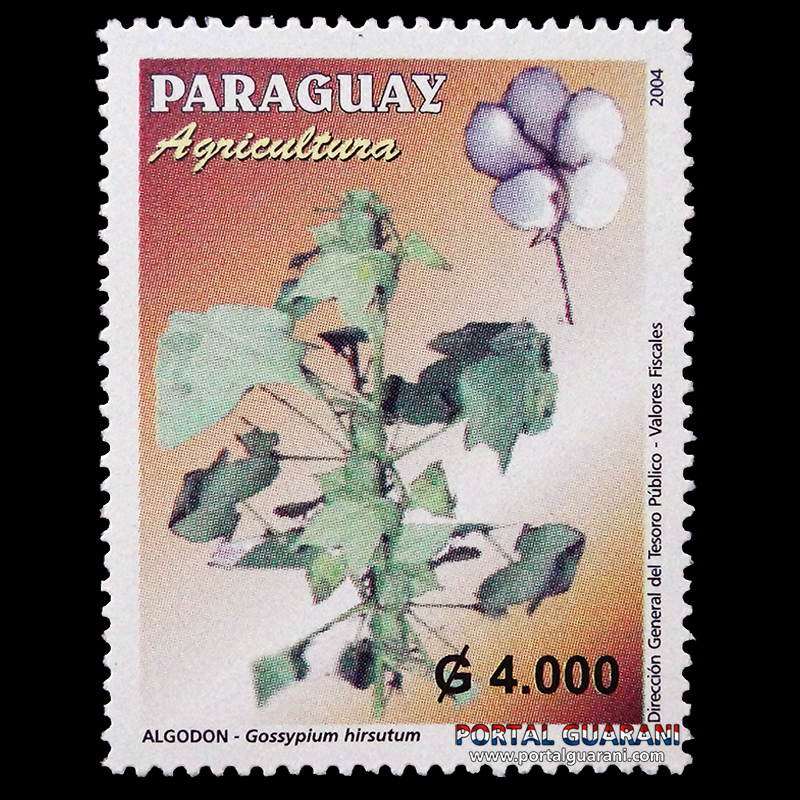 AGRICULTURA: MAÍZ, ALGODÓN, SOJA - (AÑO 2004 - SERIE 181)