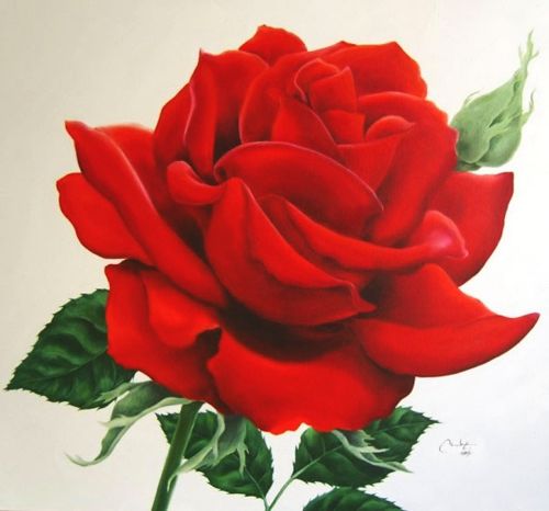 ROSA, ÓLEO DE YUKI HAYASHI - GALERÍA DE ARTE MATICES
