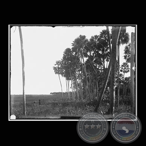 "IMÁGENES Y POSTALES DE PARAGUAY"