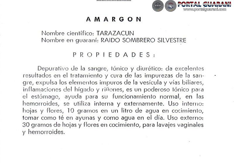 AMARGON - PROPIEDADES - ESTUDIO DE JAVIER CATALDO
