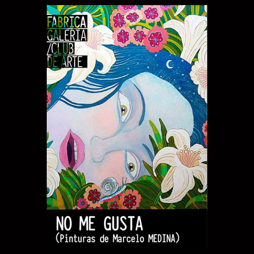 DE LA EXPOSICIÓN "NO ME GUSTA", 2013 de MARCELO MEDINA