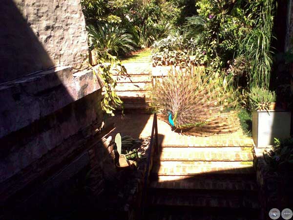FÁBRICA GALERÍA CLUB DE ARTE en PORTALGUARANI.COM