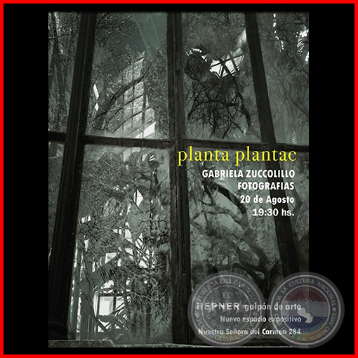 Exposición PLANTA PLANTAE