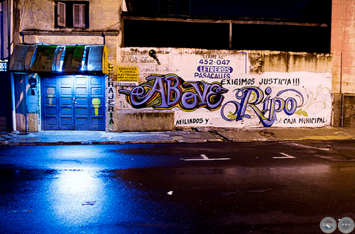 TAPESTRY, 2007 - 2008 - FOTOGRAFÍAS DE NEGIB GIHA
