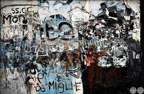 TAPESTRY, 2007 - 2008 - FOTOGRAFÍAS DE NEGIB GIHA