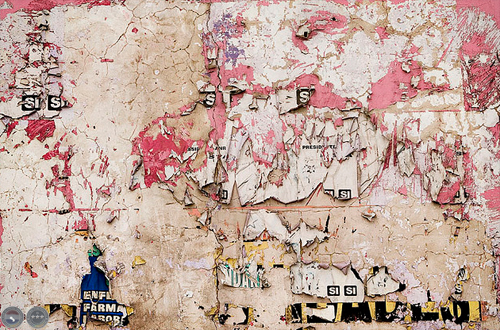 TAPESTRY, 2007 - 2008 - FOTOGRAFÍAS DE NEGIB GIHA