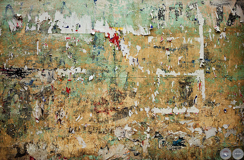 TAPESTRY, 2007 - 2008 - FOTOGRAFÍAS DE NEGIB GIHA