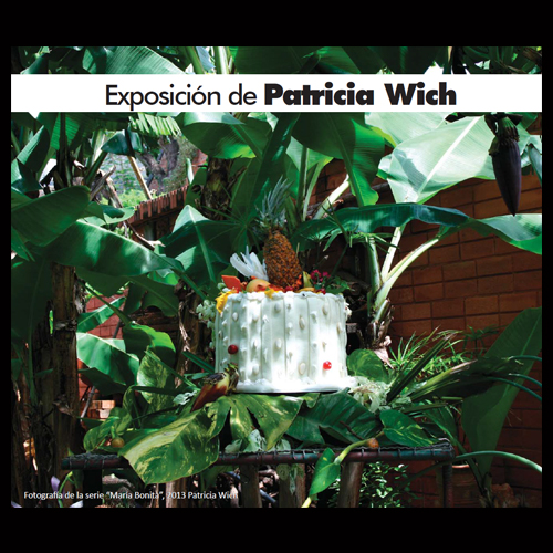 exposicion de patricia wich instituto paraguayo aleman 2014 portalguarani