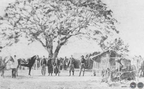 "BIBLIOTECA VIRTUAL DE LA GUERRA DE LA TRIPLE ALIANZA"